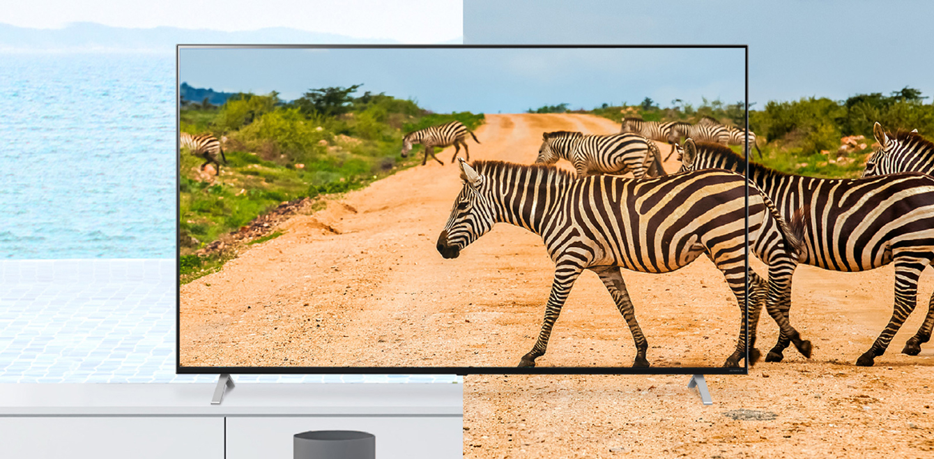 A TV's bezel is so thin that it reduces the difference between the screen and the real thing, so the zebras on the screen look lively.