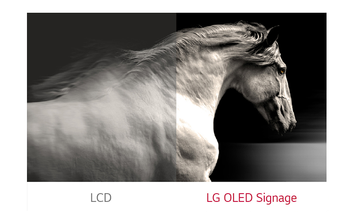 LG OLED Signage shows better contrast between black and white than ordinary LCD.