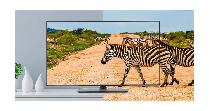 The TV with slim bezel shows the screen with realistic images to enhance viewer experience.