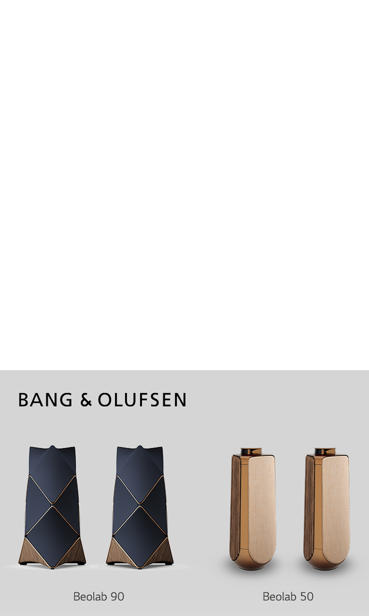 Bang & Olufsen Audio Solutions