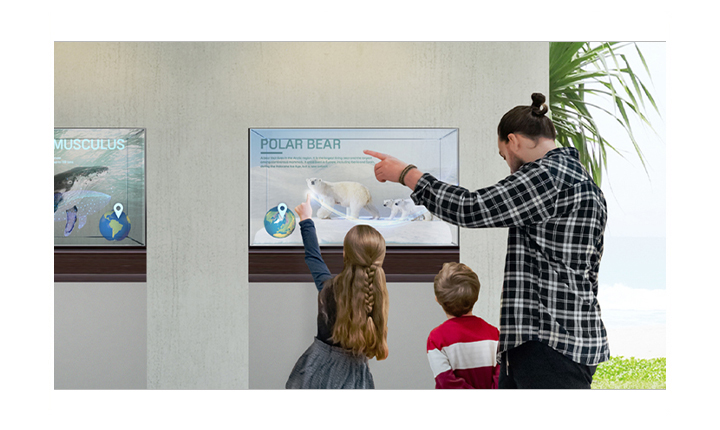 At the museum, a father and two children are touching the Transparent OLED Signage screen, learning about polar bears. Beyond the displaying explanation, miniature polar bear models are exhibited and visible through the screen.