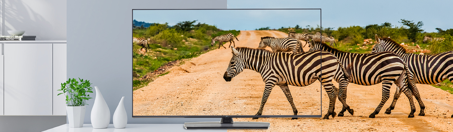 The TV with slim bezel shows the screen with realistic images to enhance viewer experience.