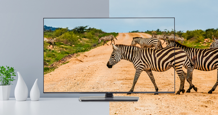 The TV with slim bezel shows the screen with realistic images to enhance viewer experience.